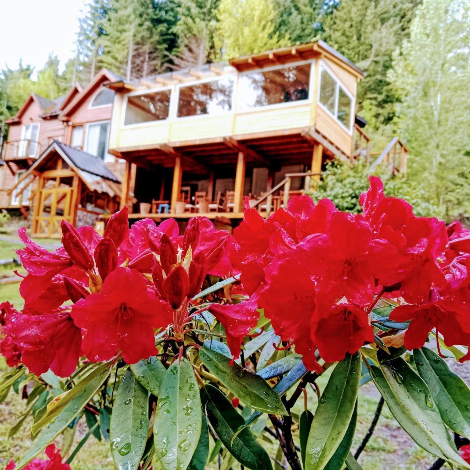 Hosteria Lekun Lekun บียาลาอังกอสตูรา ภายนอก รูปภาพ