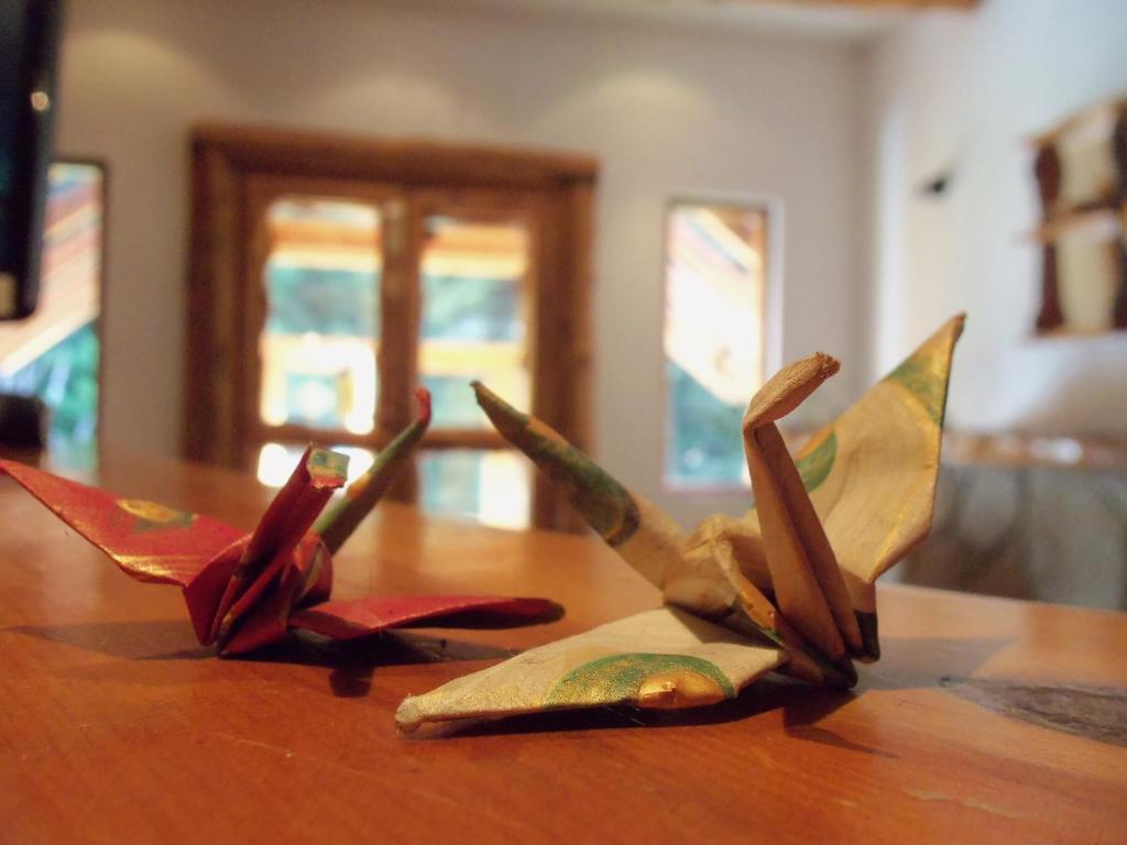Hosteria Lekun Lekun บียาลาอังกอสตูรา ภายนอก รูปภาพ